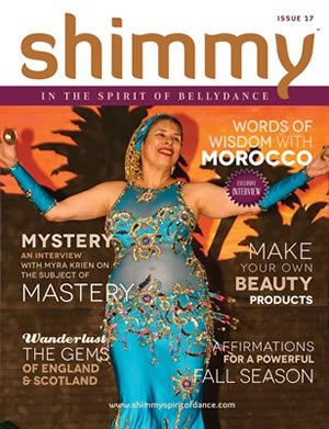 Shimmy Magazine Issue 17
