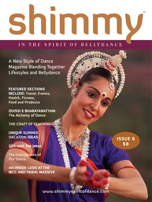 Shimmy Magazine Issue 6